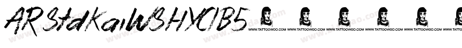AR StdKaiWSHYC1B5字体转换